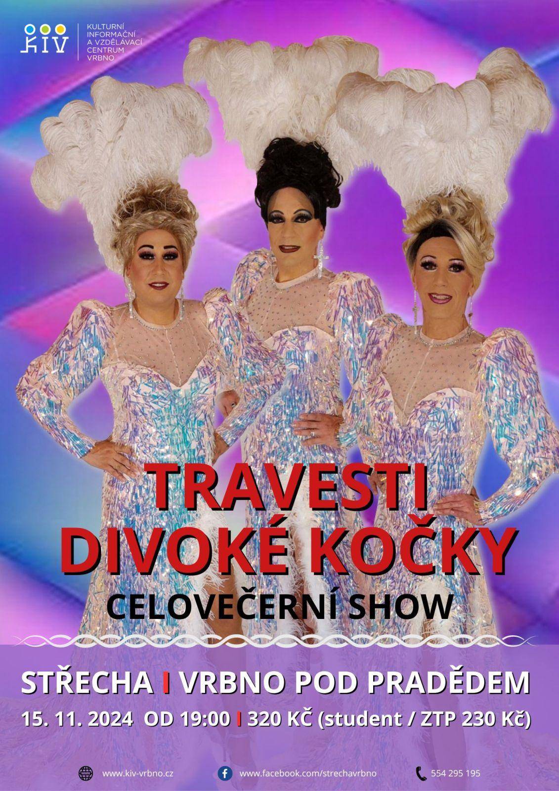 TRAVESTI DIVOKÉ KOČKY